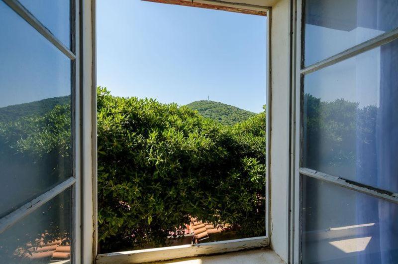 Apartment Pavo Dubrovnik Exterior foto