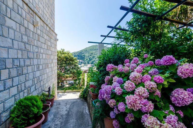 Apartment Pavo Dubrovnik Exterior foto